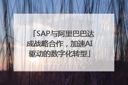 SAP与阿里巴巴达成战略合作，加速AI驱动的数字化转型